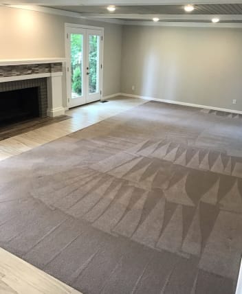 image description not provided by submitter