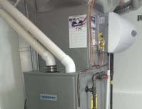 image description not provided by submitter