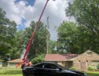 image description not provided by submitter