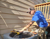 image description not provided by submitter