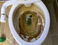 image description not provided by submitter
