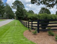 image description not provided by submitter