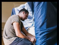 image description not provided by submitter