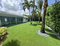 image description not provided by submitter