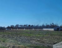 image description not provided by submitter