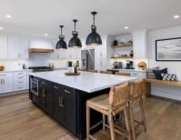 image description not provided by submitter