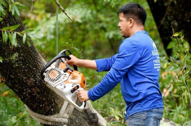 image description not provided by submitter