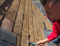 image description not provided by submitter