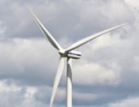 image description not provided by submitter