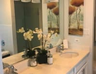 image description not provided by submitter