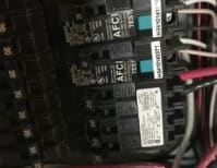 image description not provided by submitter