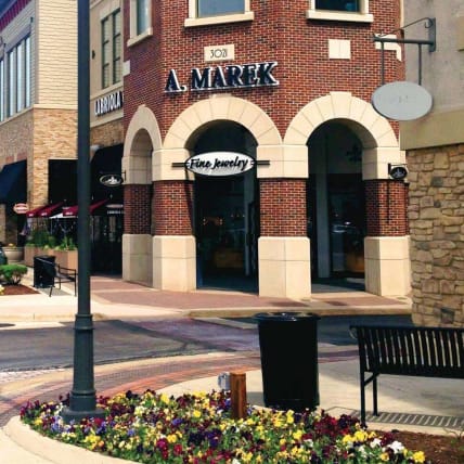 image description not provided by submitter