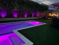 image description not provided by submitter