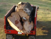 image description not provided by submitter