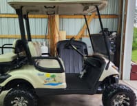 image description not provided by submitter