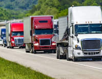 image description not provided by submitter