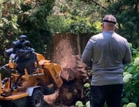 image description not provided by submitter