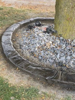 image description not provided by submitter