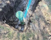 image description not provided by submitter