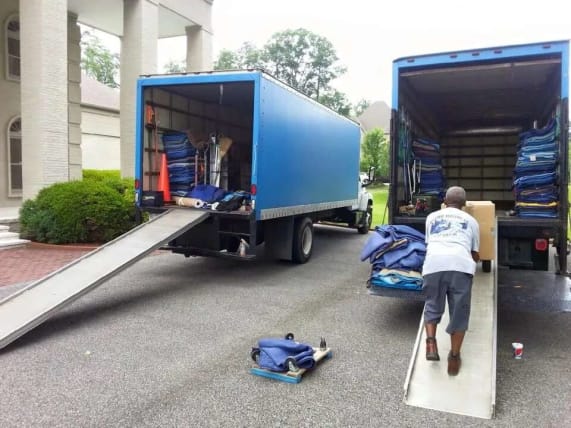 image description not provided by submitter