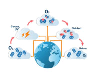 image description not provided by submitter