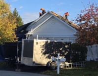 image description not provided by submitter