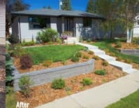 image description not provided by submitter