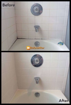 image description not provided by submitter