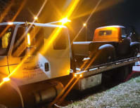 image description not provided by submitter