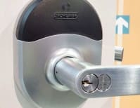 image description not provided by submitter