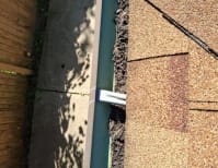 image description not provided by submitter