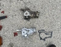 image description not provided by submitter