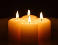 image description not provided by submitter