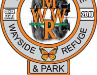 image description not provided by submitter