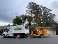 image description not provided by submitter