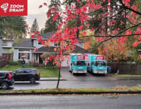 image description not provided by submitter