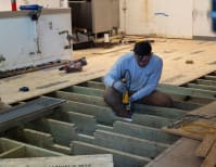 image description not provided by submitter