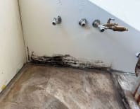 image description not provided by submitter