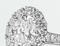 image description not provided by submitter