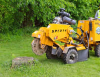 image description not provided by submitter