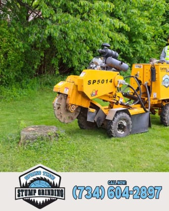 image description not provided by submitter