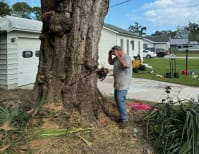 image description not provided by submitter