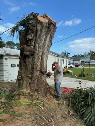 image description not provided by submitter