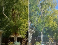 image description not provided by submitter