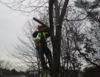 image description not provided by submitter