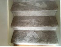 image description not provided by submitter