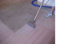 image description not provided by submitter