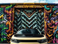 image description not provided by submitter