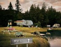 image description not provided by submitter