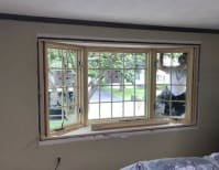 image description not provided by submitter